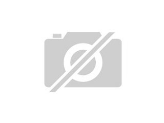 Günstiges 3-Familienhaus310qm Wohnfläche 10